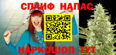 эйфоретик Малгобек