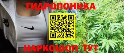 эйфоретик Малгобек